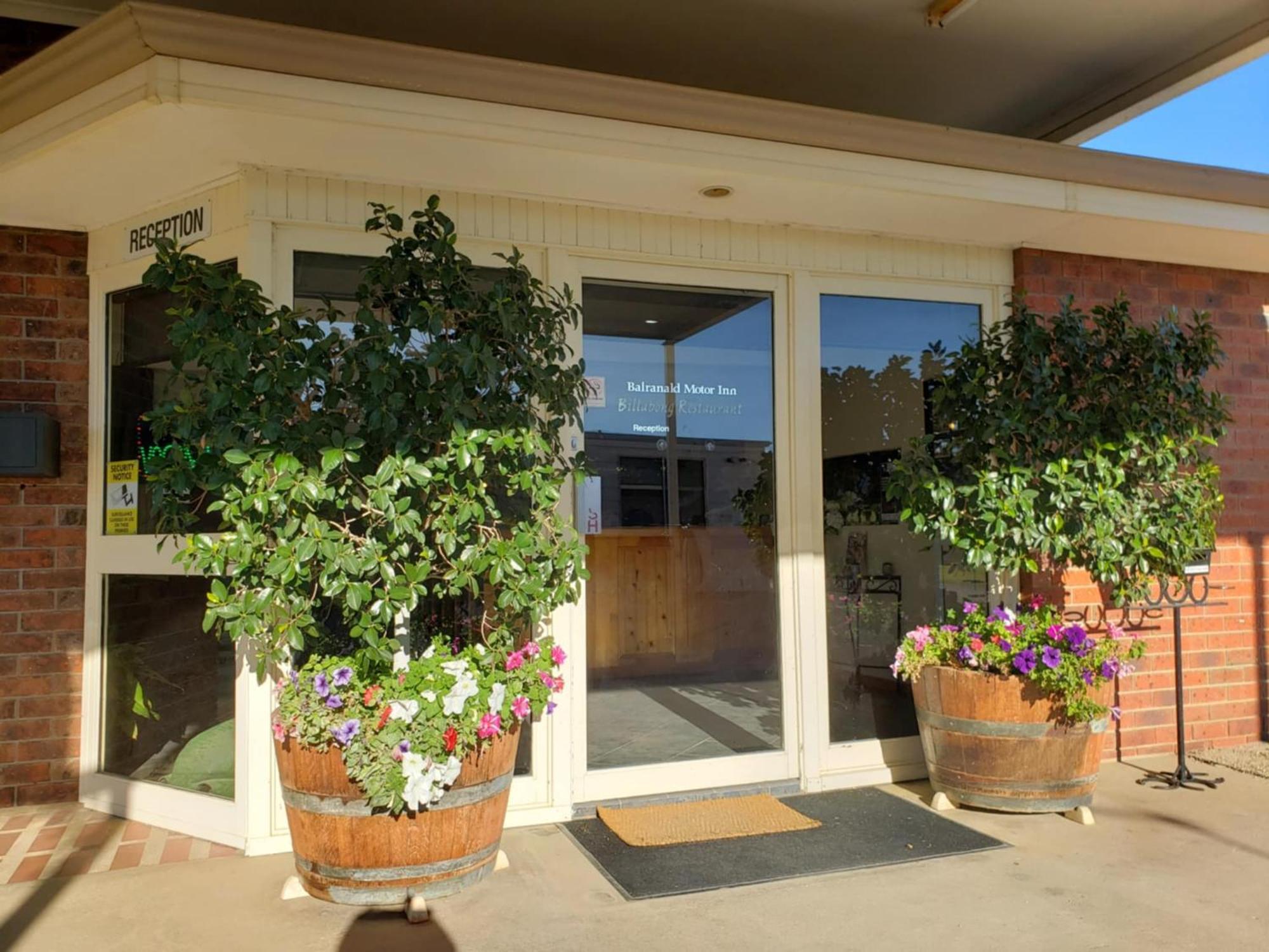 Balranald Motor Inn Extérieur photo